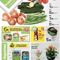 01 Promoções-Descontos-36142.jpg